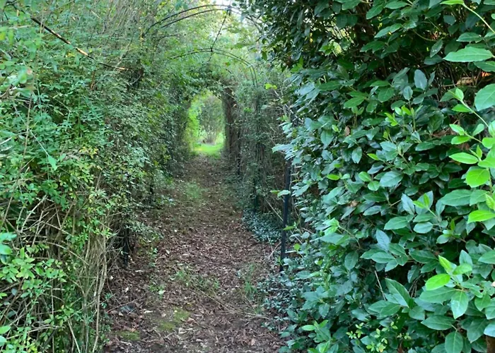 Serenane Tatil Evi *